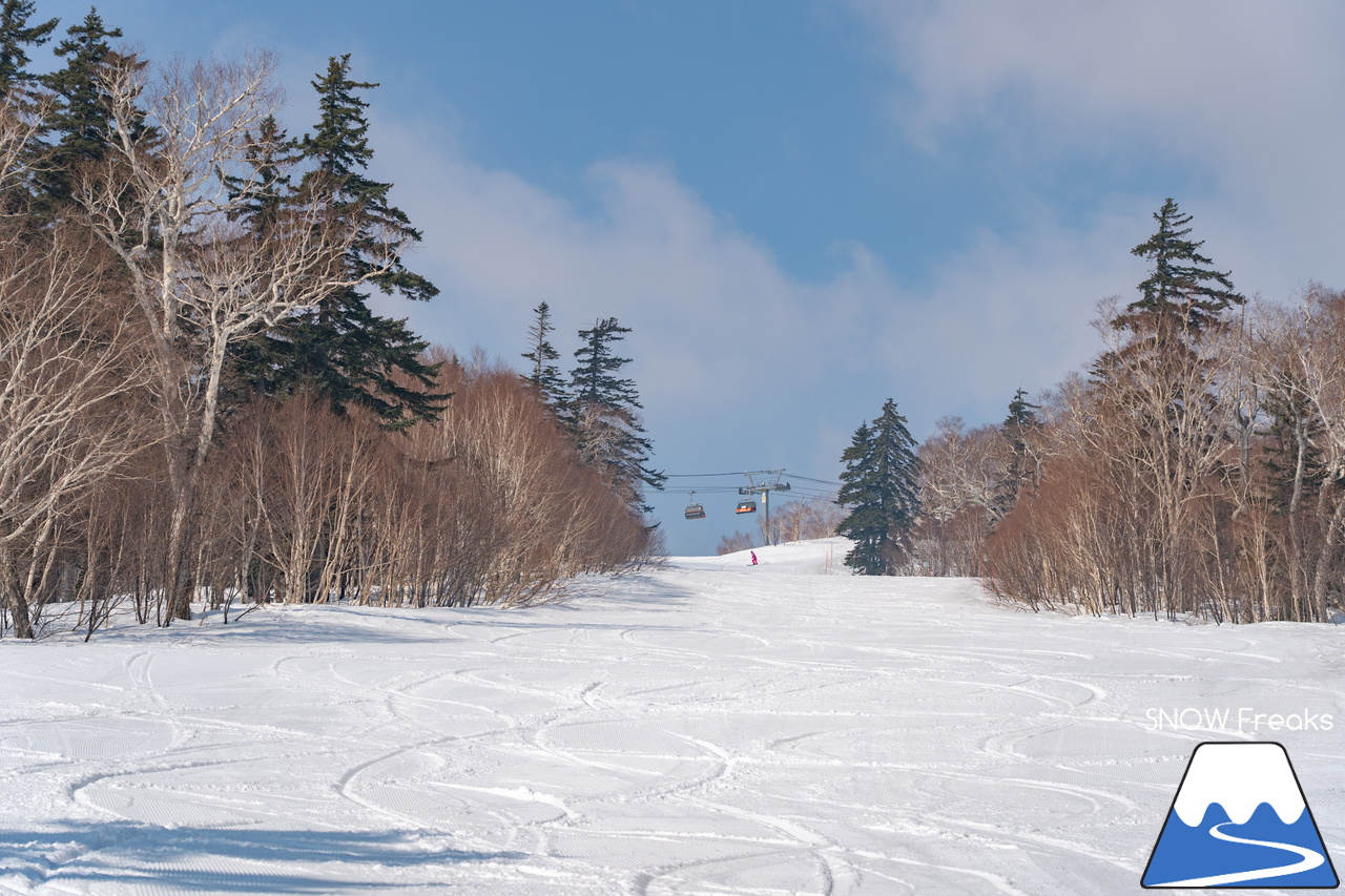 札幌国際スキー場｜さすが『KOKUSAI』！春シーズンも安泰の豊富な積雪で、まだまだ余裕で全面滑走可能です(^^)v